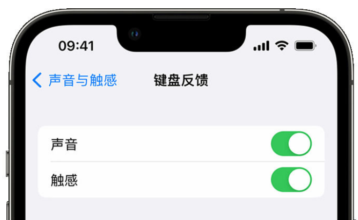 辉县苹果手机维修分享iPhone 14触感键盘使用方法 