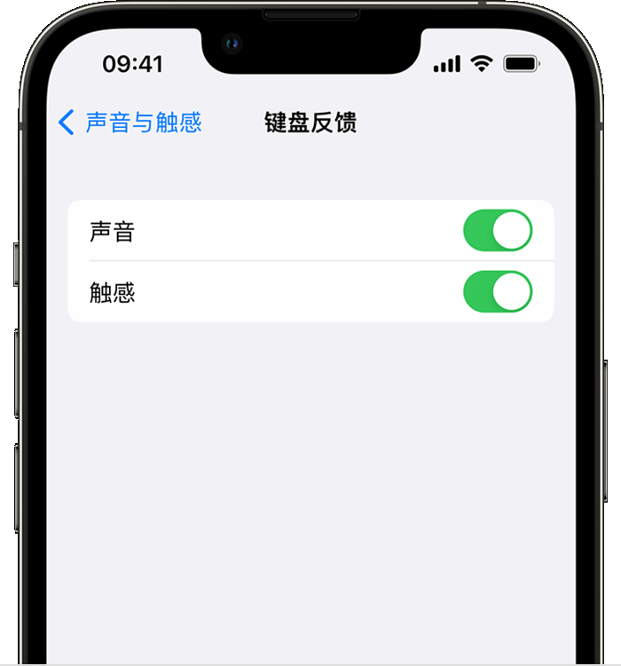 辉县苹果14维修店分享如何在 iPhone 14 机型中使用触感键盘 