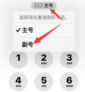 辉县苹果14维修店分享iPhone 14 Pro Max使用副卡打电话的方法 