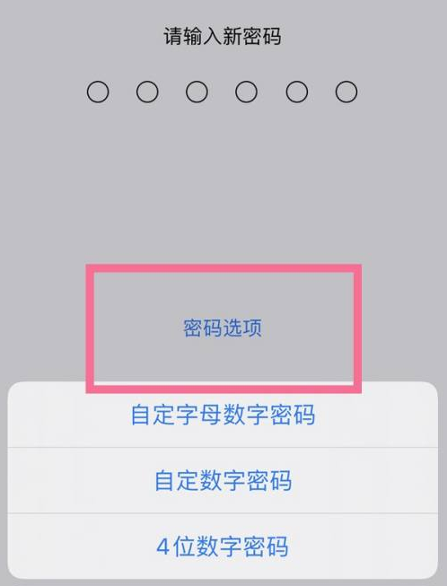 辉县苹果14维修分享iPhone 14plus设置密码的方法 